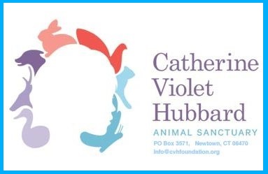 Radar's Post on Catherine Violet Hubbard at eleventhebook.com