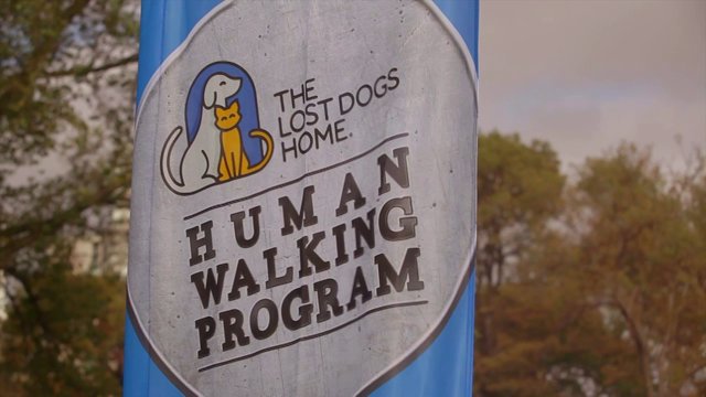 Human Walking Program